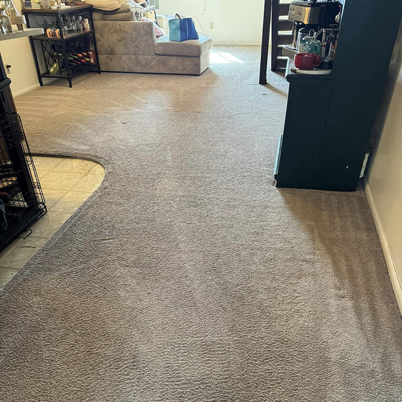 You Deserve Quality Carpet Cleaning Services