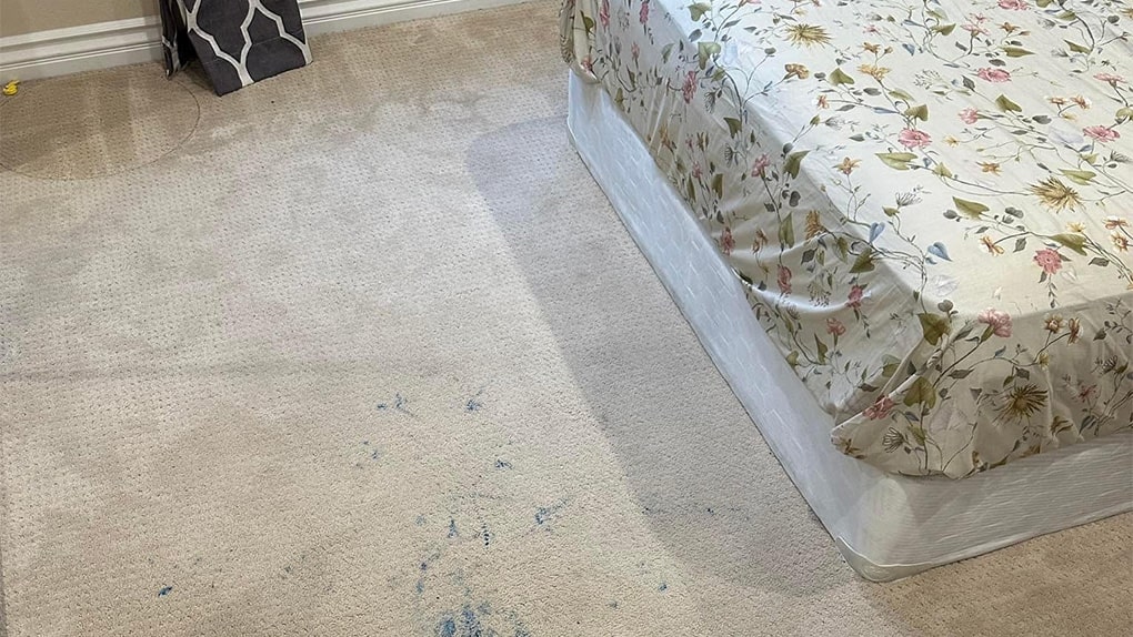Carpet Cleaning Flagstaff Arizona - visible stains